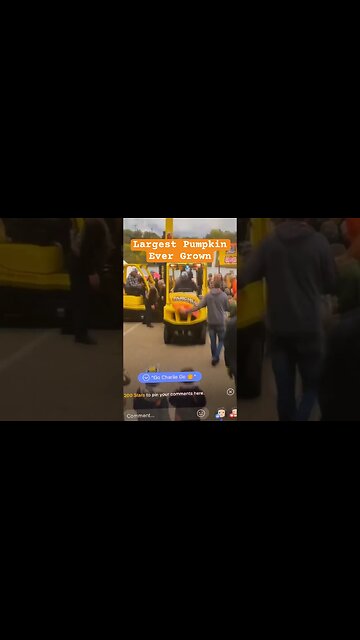 Largest Pumpkin ever grown in the world. #Giantpumpkin #contest #biggest