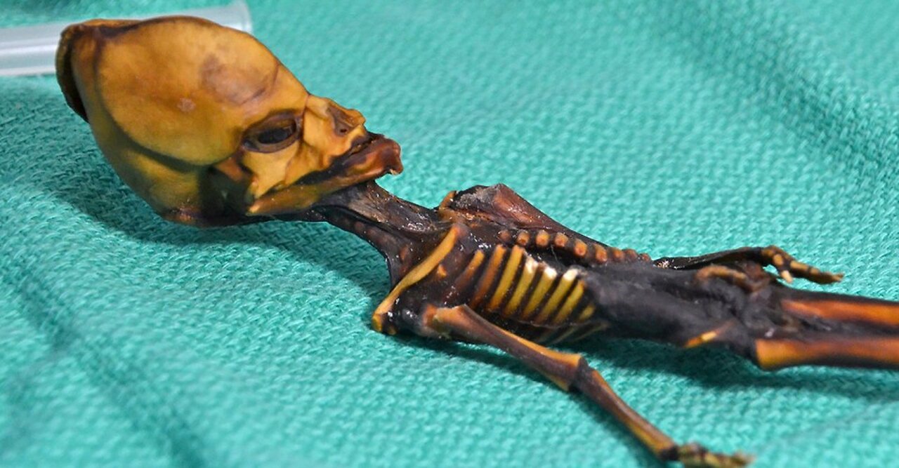 REPTILIAN DNA IN OUR EARTH SUITS. HOW DID THAT HAPPEN?