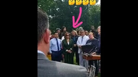 7/28/22 Nancy Drew-Video 2-WH Area-Thumbnail Shows Marshall with Piglosi From Video 1