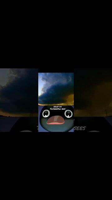 Rotating Wall Cloud Noot Noot