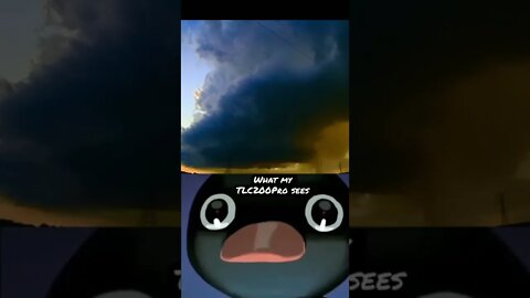Rotating Wall Cloud Noot Noot