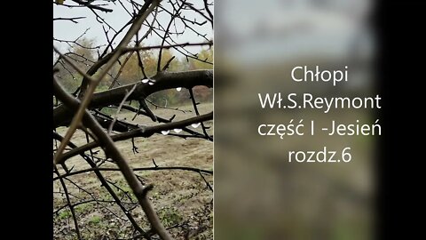 Chłopi -Wł.S.Reymont część I - Jesień rozdz.6