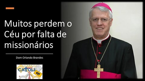 CATOLICUT - Muitos perdem o Céu por falta de missionários