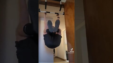 DMX Pull ups and Leg Raises
