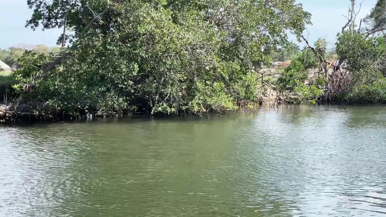 Rollin4freedom the people’s convoy at home with rollin