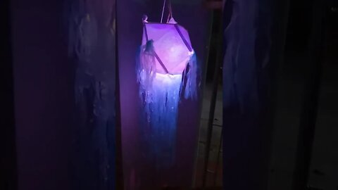 Punchi pahe vesak