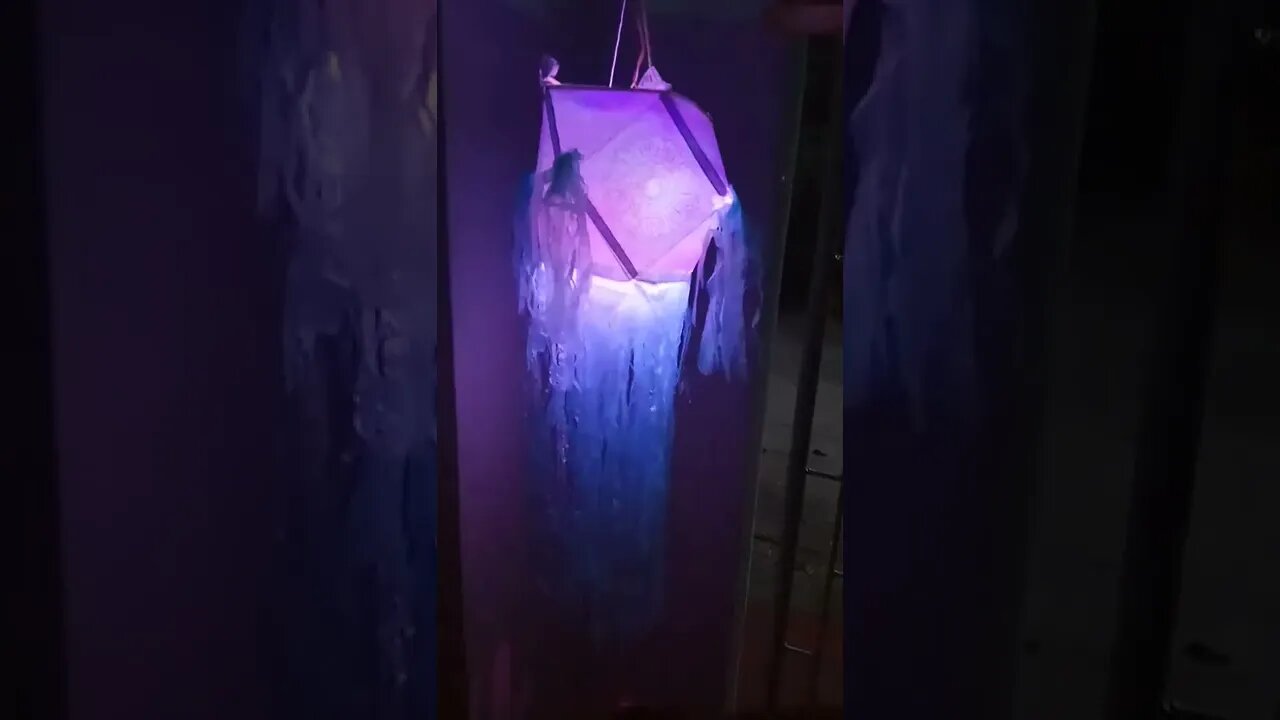 Punchi pahe vesak