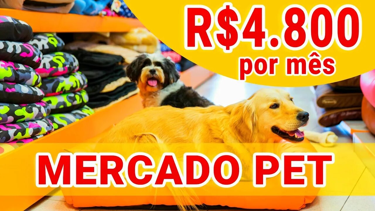 GANHE ATÉ R$4.800 P/MÊS COM ACESSÓRIOS PARA PET | MÁQUINA LUCRATIVA