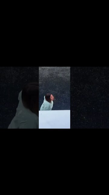 funny|prank|jokes|funny jokes|dad jokes|funny memes|funny video|fun|laughing|funny animal|knock