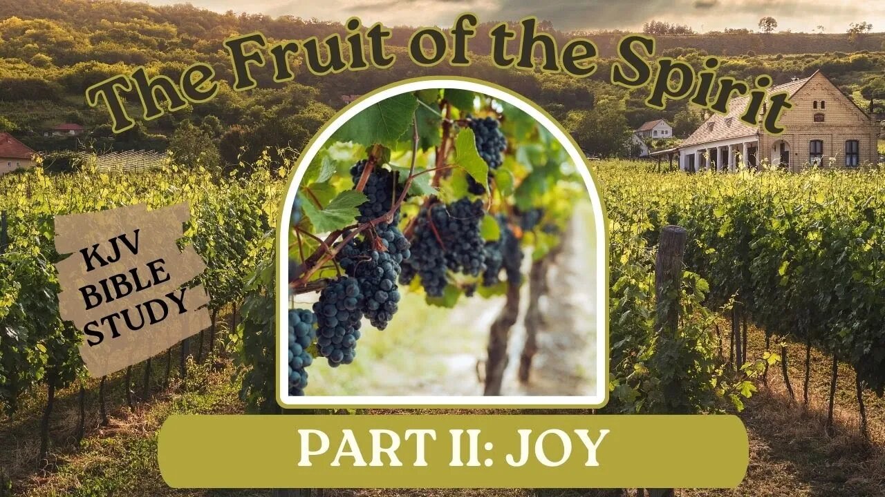 The Fruit of the Spirit: JOY (part 2)