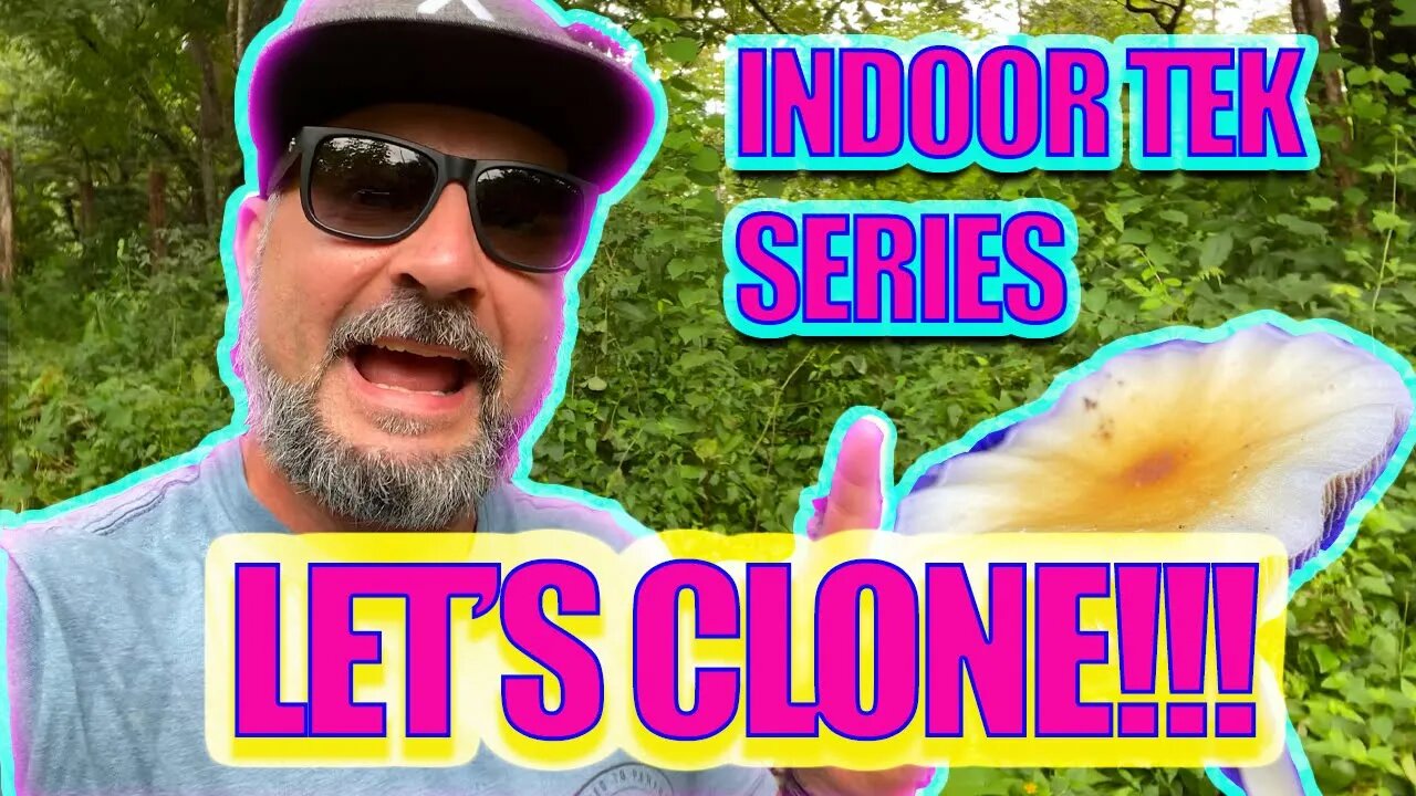 CLONING MONSTER MUSHROOMS!!! CRC INDOOR TEK SERIES