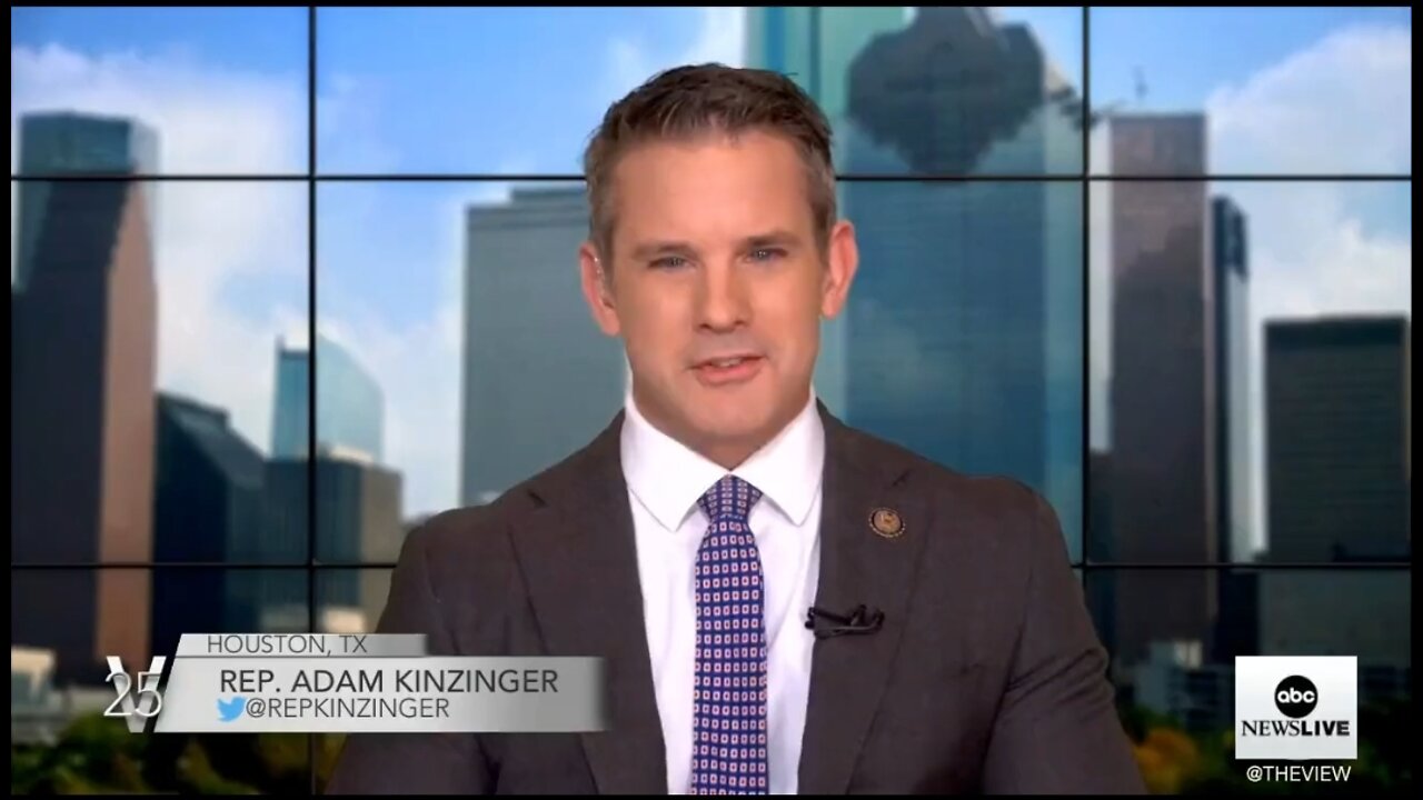 Rep Kinzinger: We Have To Recognize The Possibility Of Another Civil War