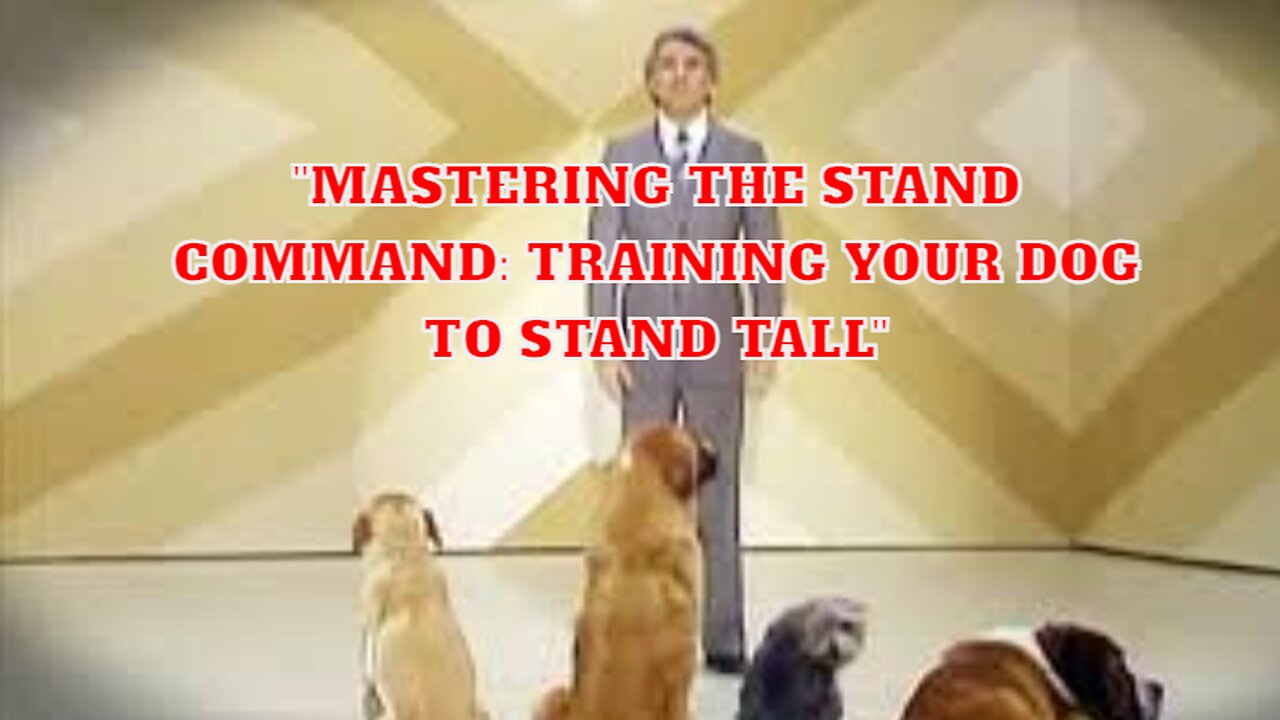 Mastering the Stand Command: Training Your Dog to Stand Tall