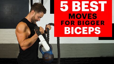 Best 5 Bicep Workout You Must Try