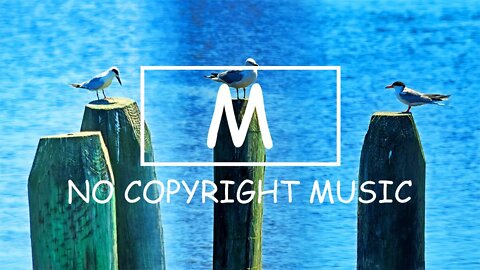 Niwel & Eneko Artola - Duality（Mm No Copyright Music）