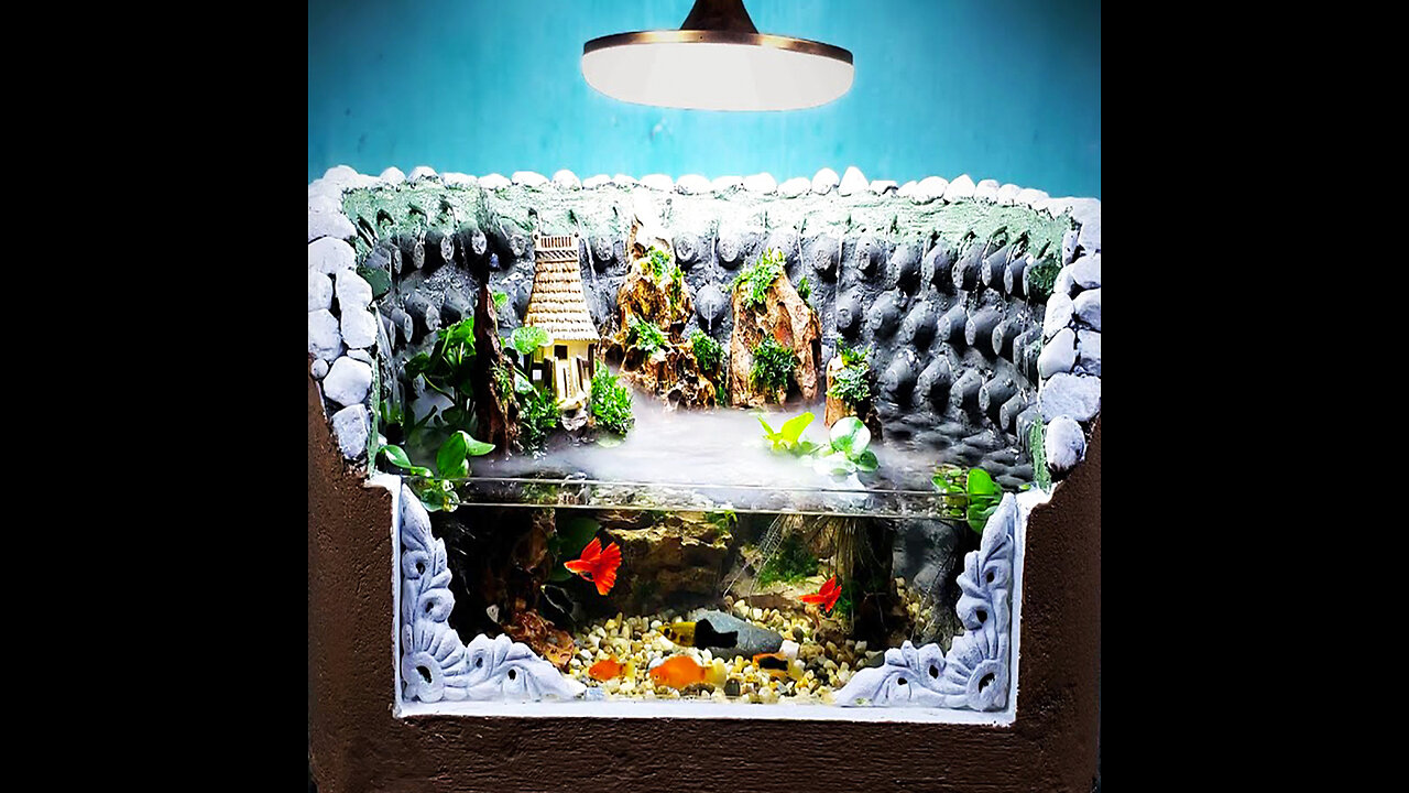 Egg to eat and egg trays to be turned into unique waterfall aquarium