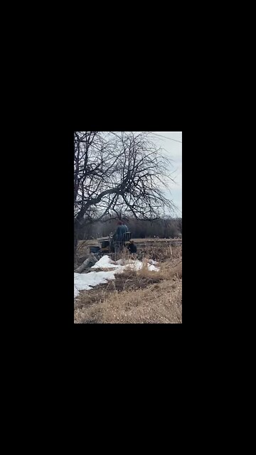 Tim going over some gravel with his tractor #shorts