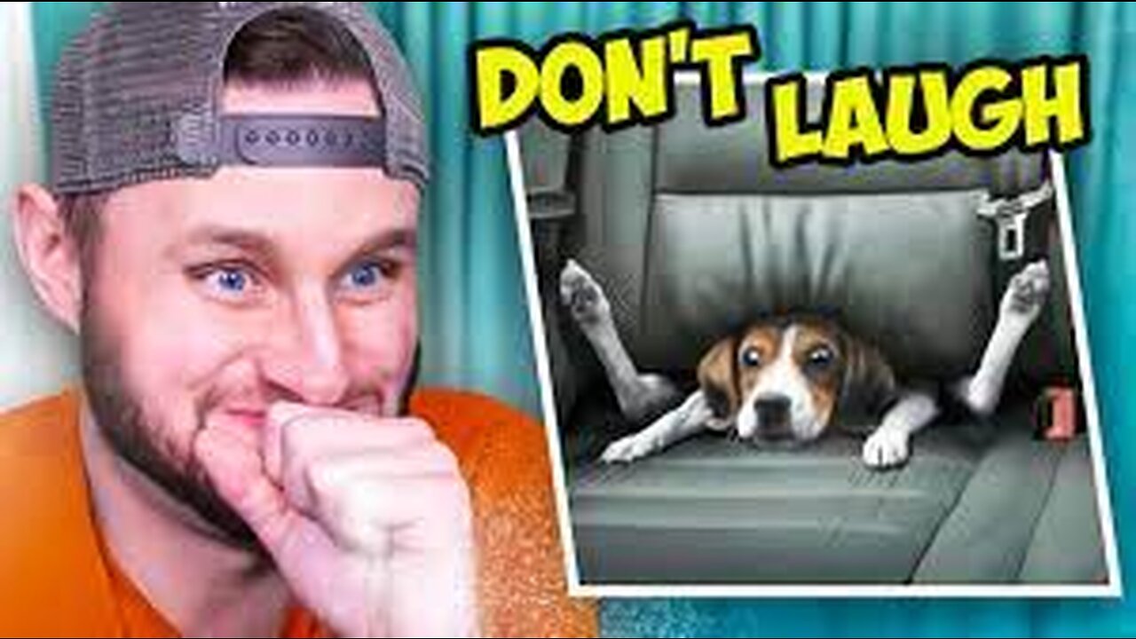 Try Not To LaUgH! 99.999% FAIL!!