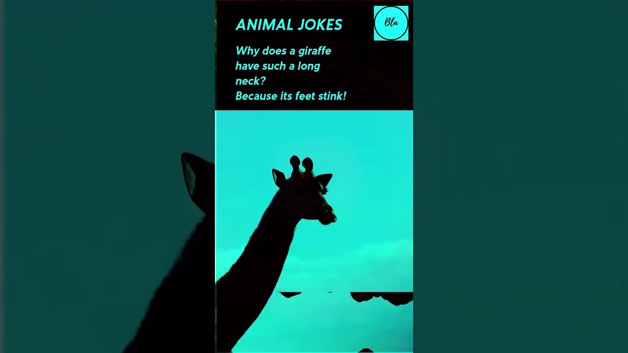 Funny Animal Jokes 19. #puppy #tiktok #dog #cute #jokes #pets #anime #funny #shortvideo #shorts