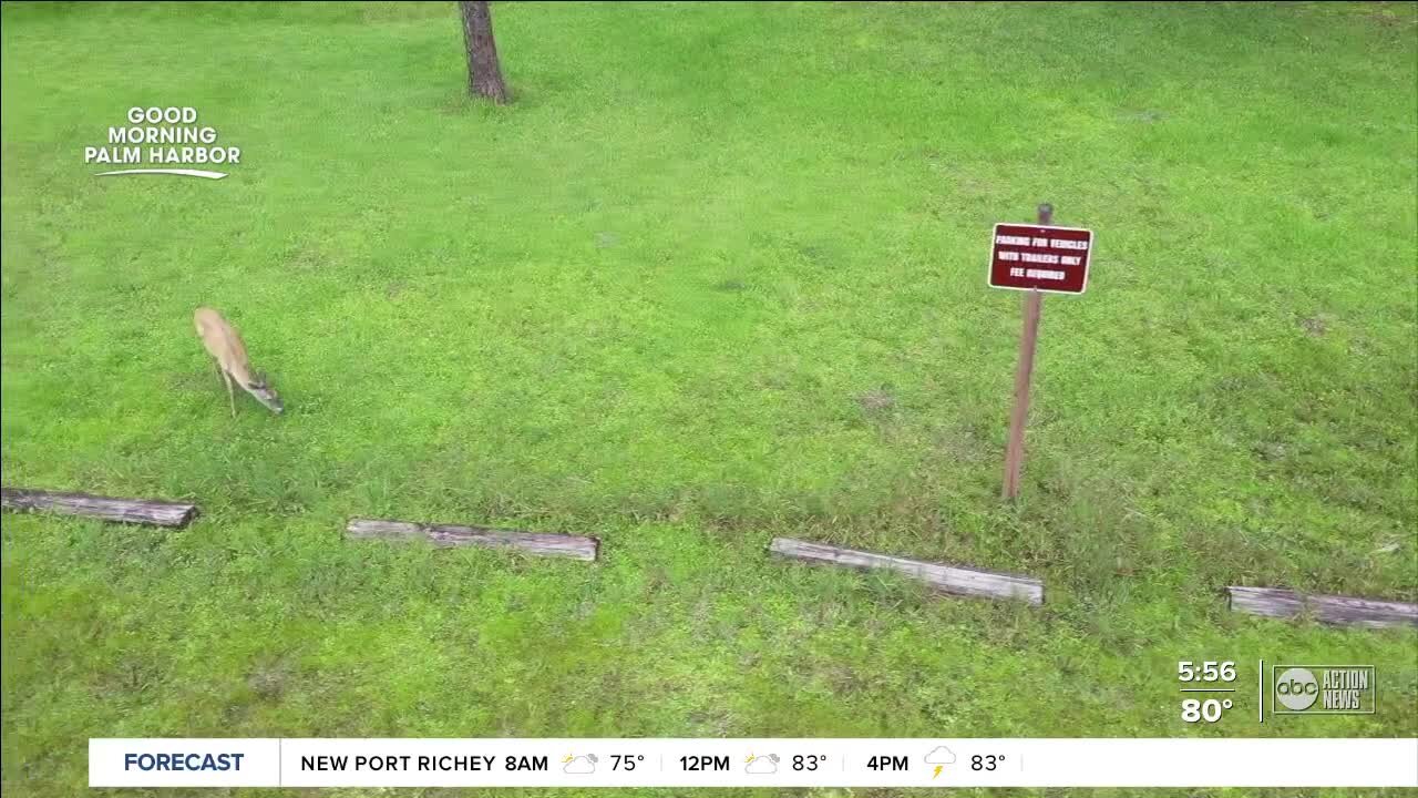 Walking Club Rewind: John Chestnut Sr. Park