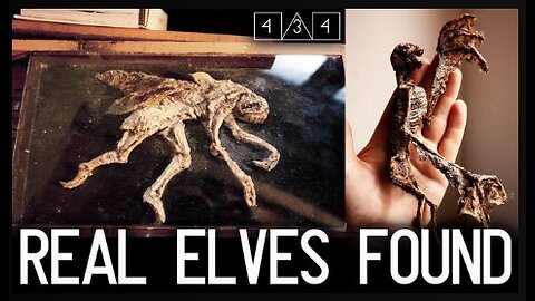 REAL Elves and Fairies found in a basement!