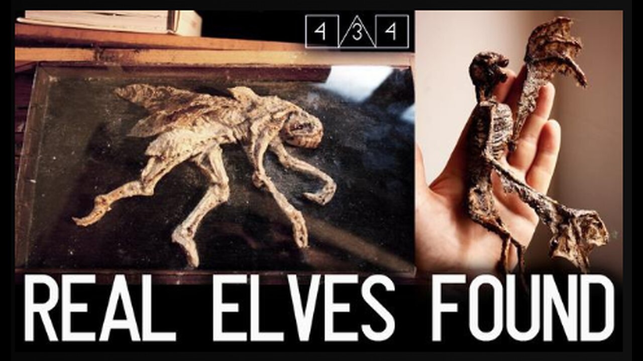 REAL Elves and Fairies found in a basement!
