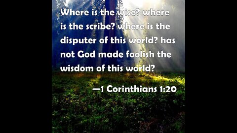July 17 Devotional - What does 1 Corinthians 1:20 mean? - Tiffany Root & Kirk VandeGuchte