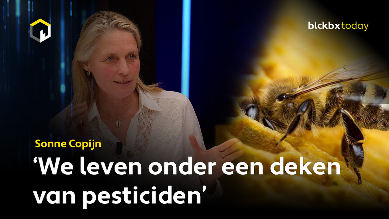 Wat zit er achter het mysterie van de massale bijensterfte?