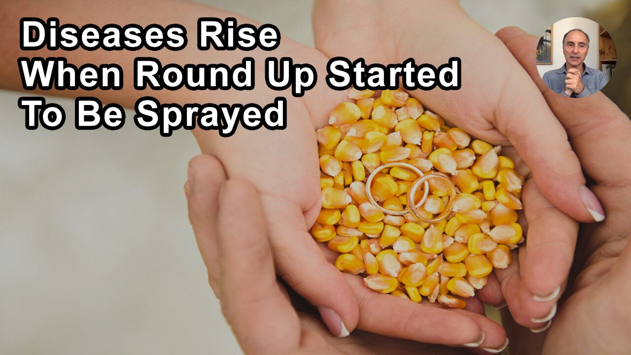 More Than 30 Diseases In The US Seemed To Have A Bump Up When Round Up Started To Be Sprayed On GMO