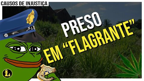 D0RG45 no meio da mata? Você está PRESO!