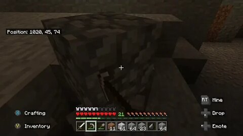 another Minecraft glitch