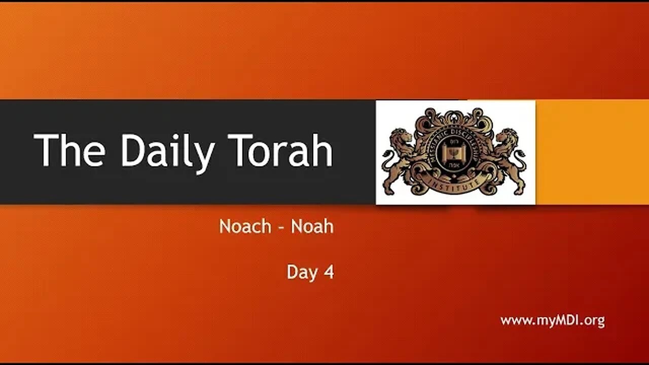 Noach / Noah - Day 4