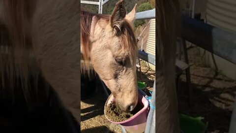 In memory: saying goodbye to Arthur on his last day 🥲💔