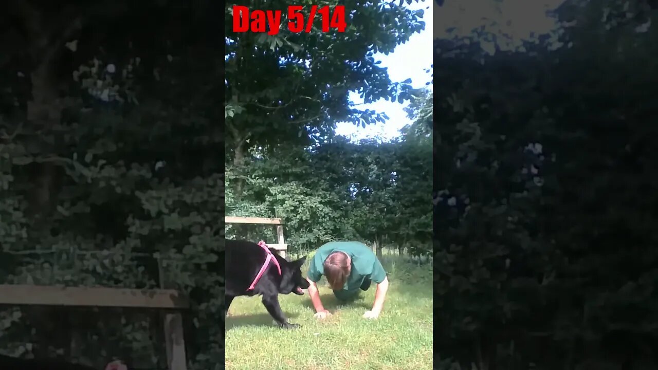 How Many Push Ups Can We Do? | Taking on the 1 Sub = 1 Push Up Challenge. Day 5