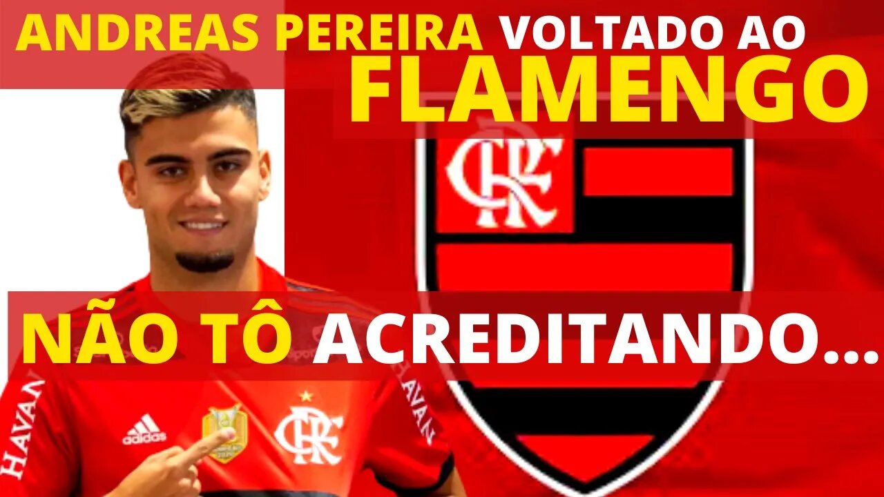 ANDREAS PEREIRA VOLTANDO PARA O FLAMENGO | SAIBA COMO | NÃO TÔ ACREDITANDO!