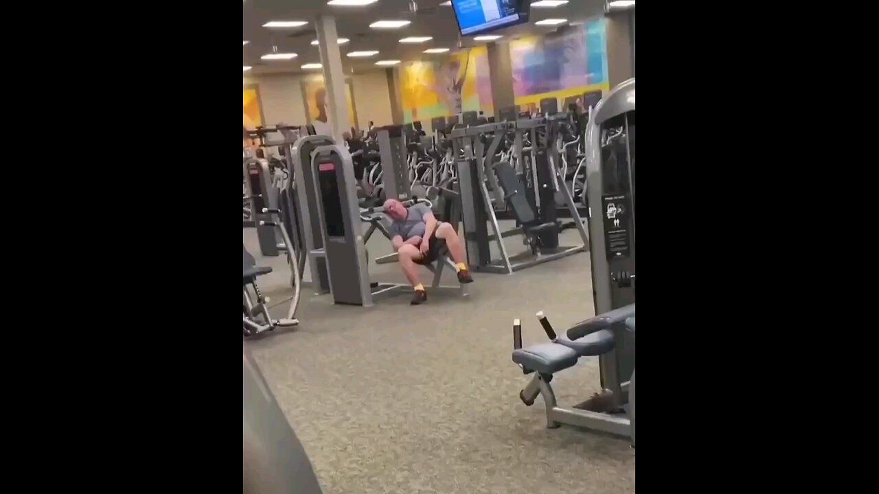 funny videos