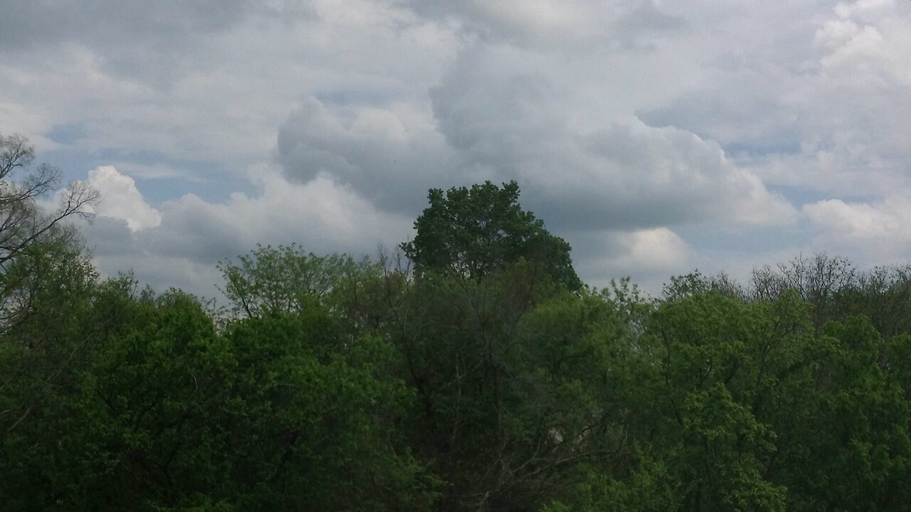 Time Lapse Forest & Clouds