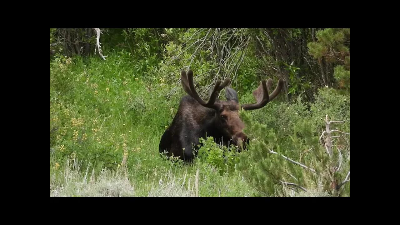 "The Easiest Person To Fool Is Yourself"