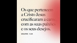 Cultive o que importa. #diogorufati #versiculododia #reflexão #oração #jesus #palavra #vida #renovo