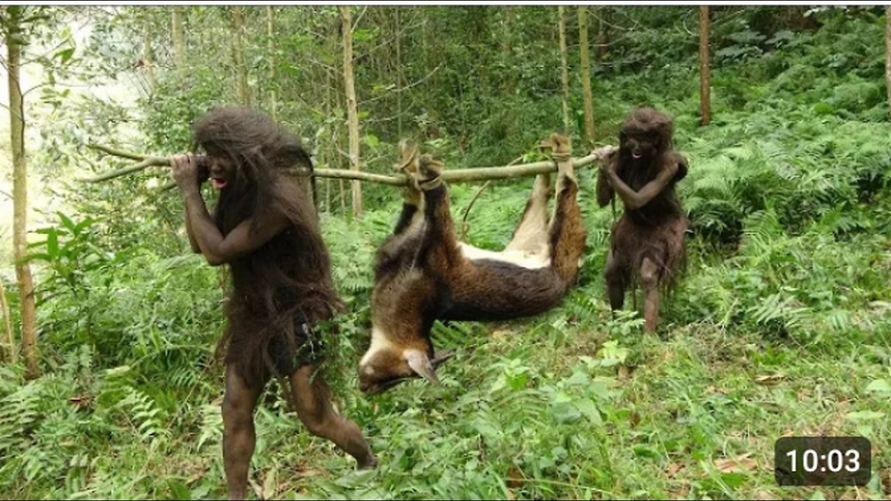 Primitive Life Forest people -Animal Trapping Skills of the Forest people #