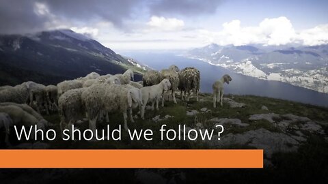 Who To Follow