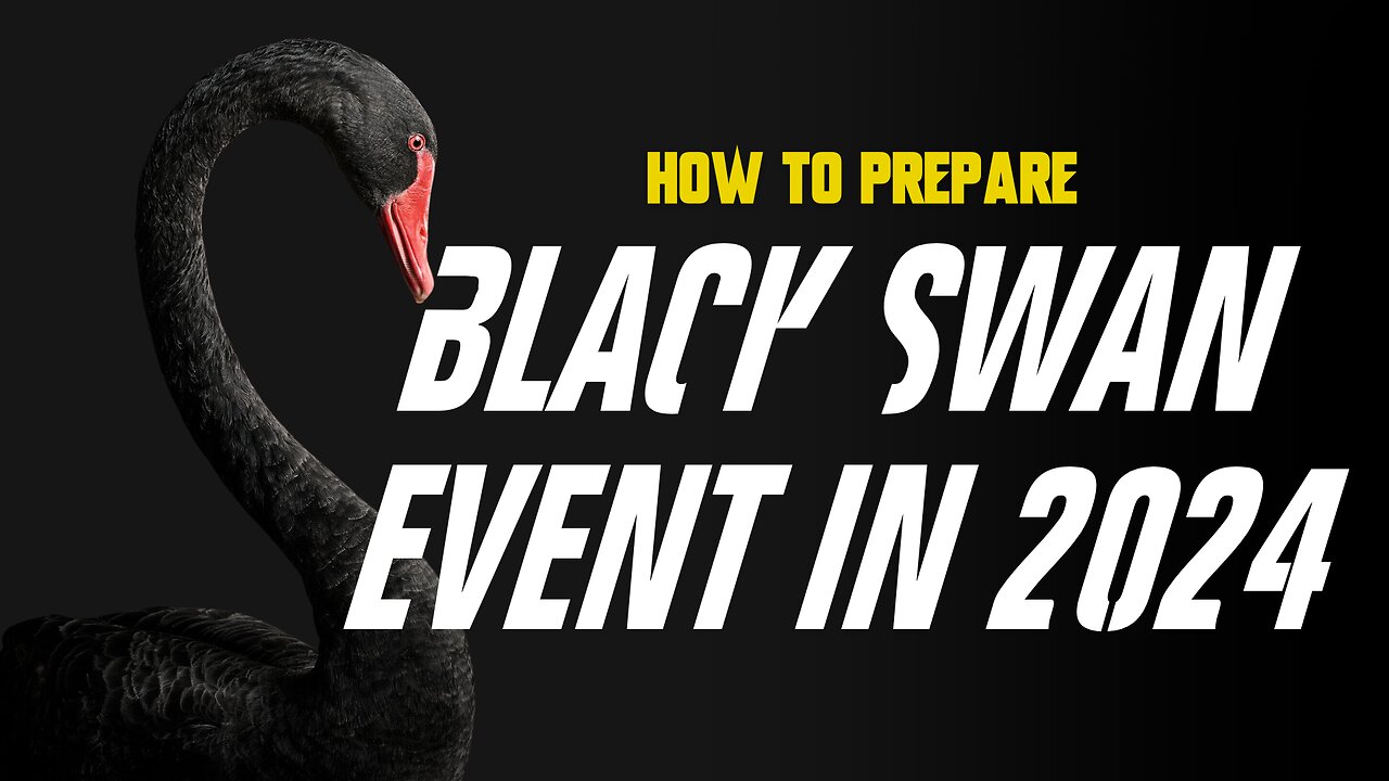 Black Swan Event 2024 - How to Prepare