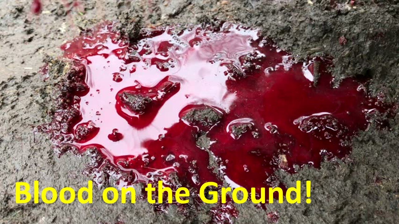 Blood on the Ground Feb 19, 2023