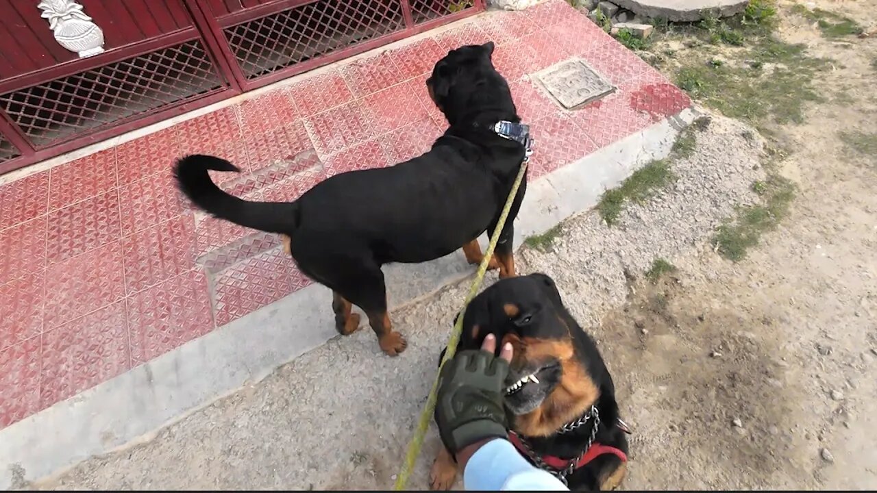 How quiet we walk.