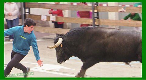 ARNEDO ( LA RIOJA ) MATINAL TOROS EN CALLE ( VIERNES 17 MARZO 2023 ) TEODORO VERGARA