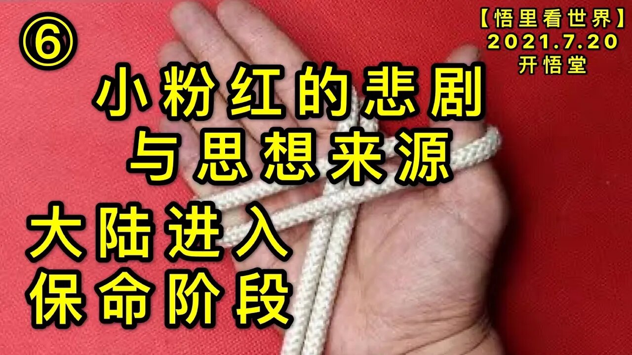 KWT2132(6)小粉红的悲剧与思想来源20210720-14【悟里看世界】