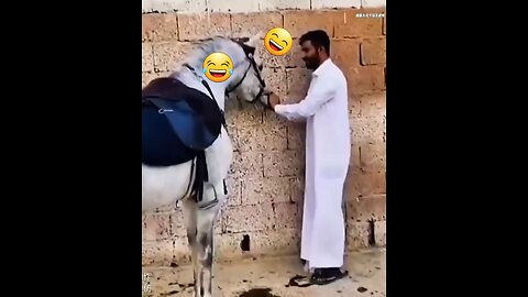 The most funny moments in 2023🤣🤣🤣 what horses do to Arab man