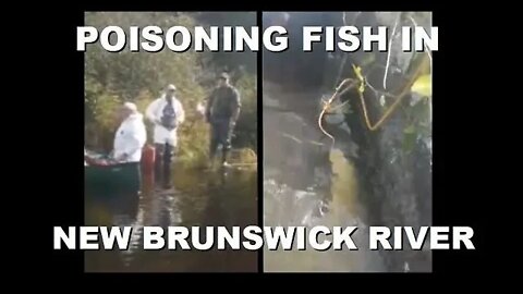 The Video Everyone is Talking About from New Brunswick, Canada...