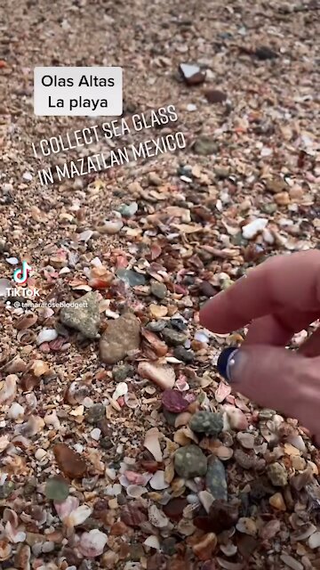 Lots of conchas 🐚 this time of year