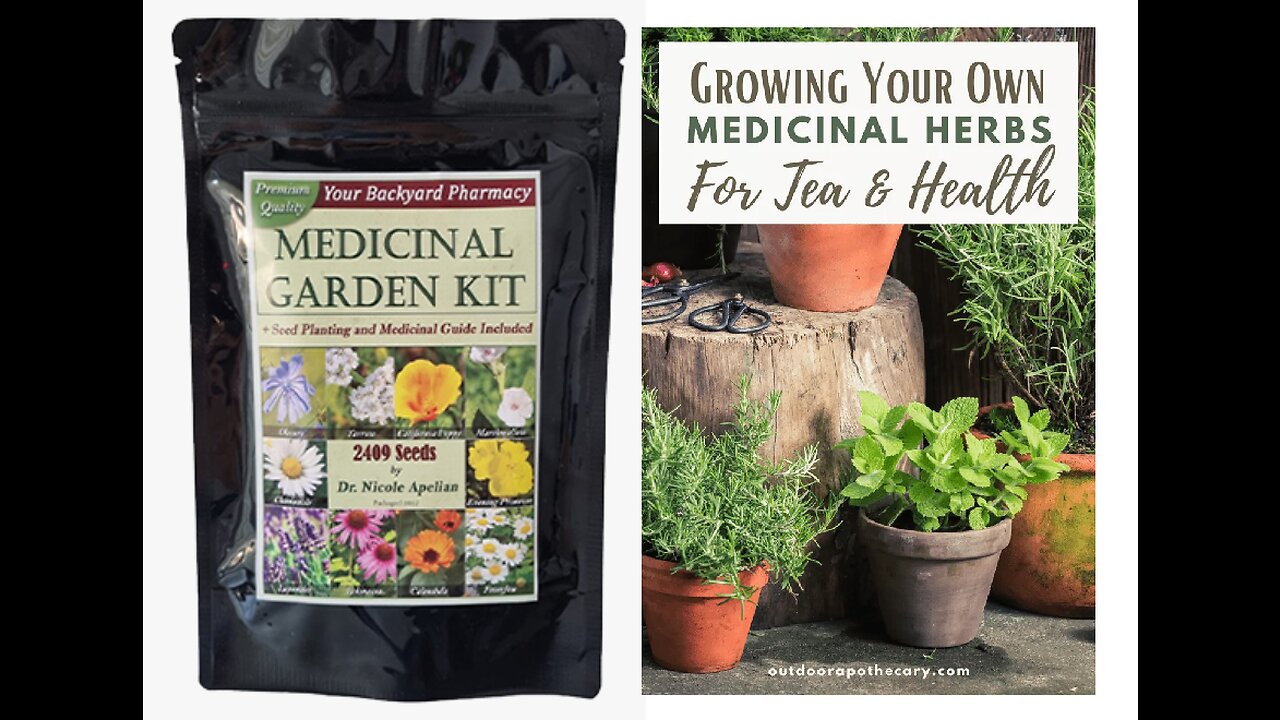 Best Medicinal Garden Kit Review 2023 - Must Watch!